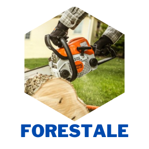 forestale_11.png