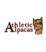 Athletic Alpacas